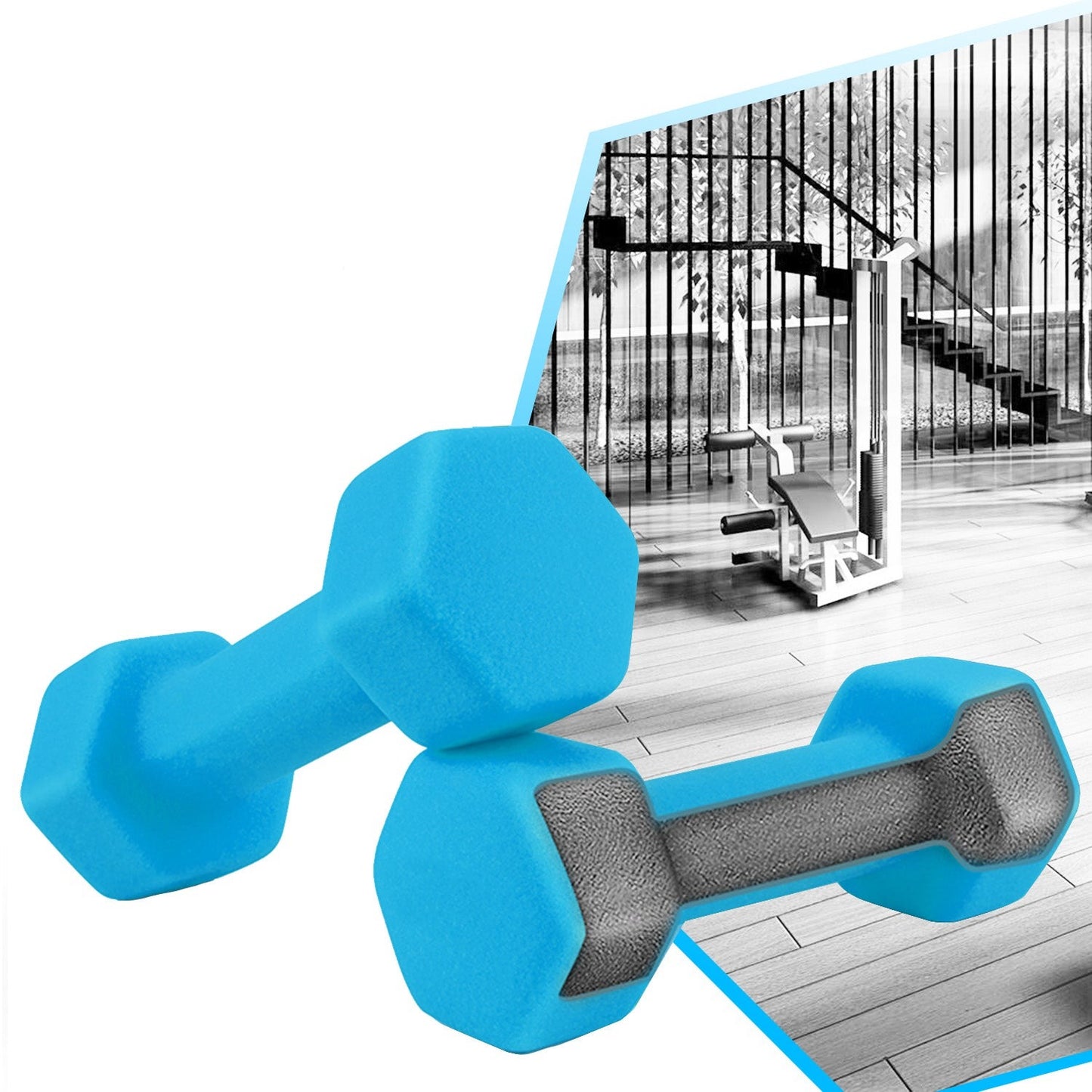 Neoprene Hex Dumbbells 2KG x 2 - Purple
