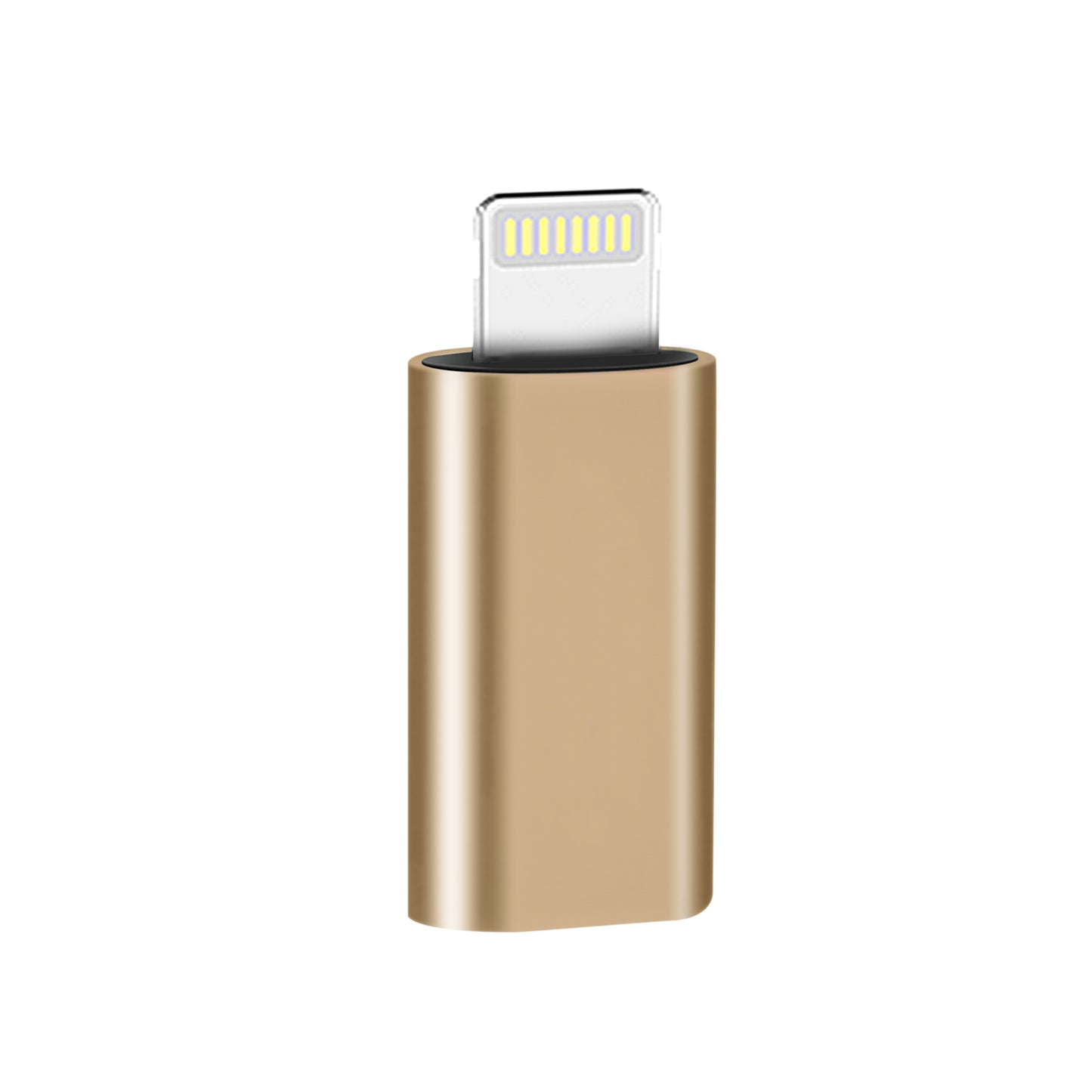 Type-C Female to Lightning Male Conversion Adapter