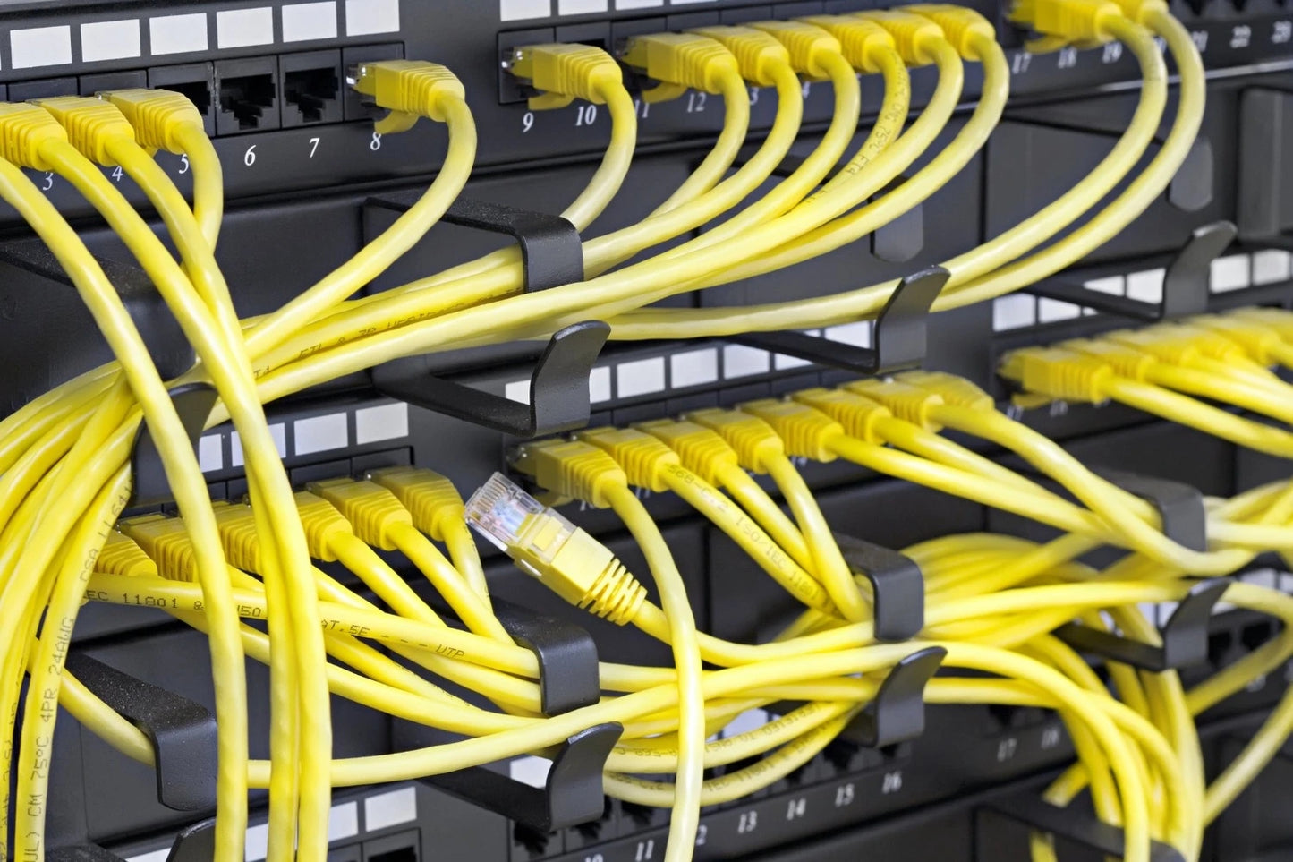 CAT3 Networking Panel